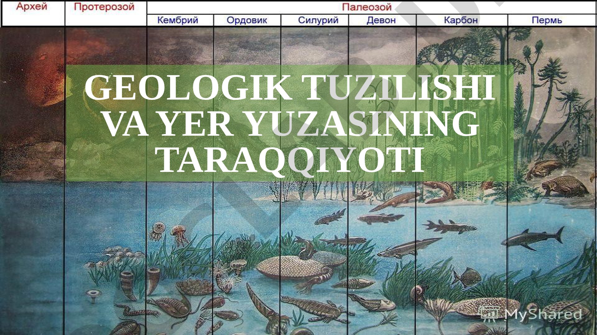 Geologik tuzilishi va yer yuzasining taraqqiyoti