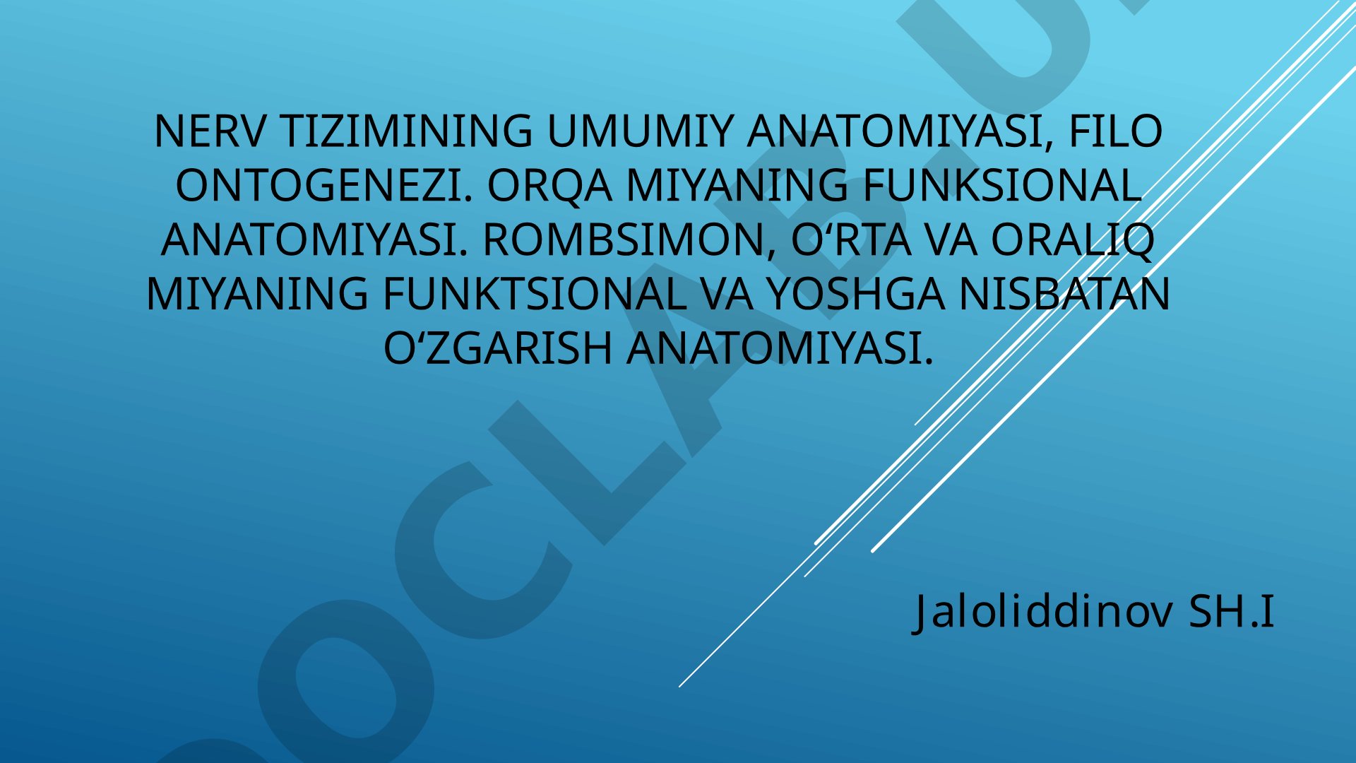 Nerv tizimining umumiy anatomiyasi va filo ontogenezi