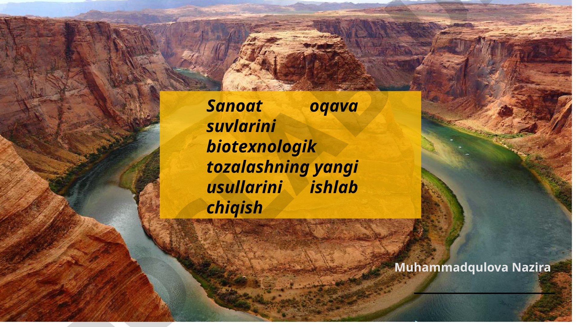 Sanoat oqava suvlarini biotexnologik tozalashning yangi usullarini ishlab chiqish