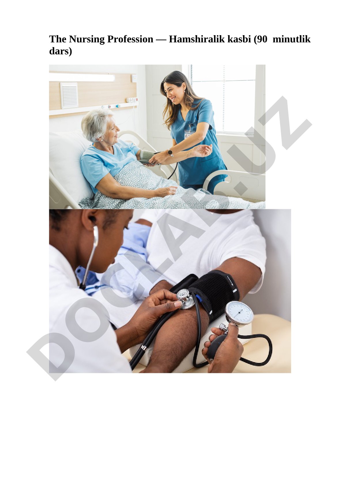 The Nursing Profession — Hamshiralik kasbi