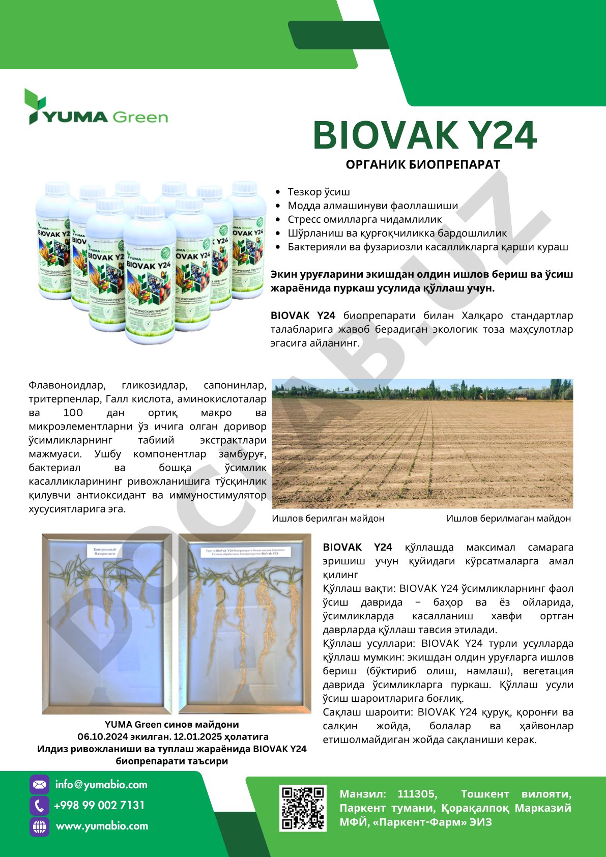 BIOVAK Y24 биопрепаратининг ўсимликларга таъсири