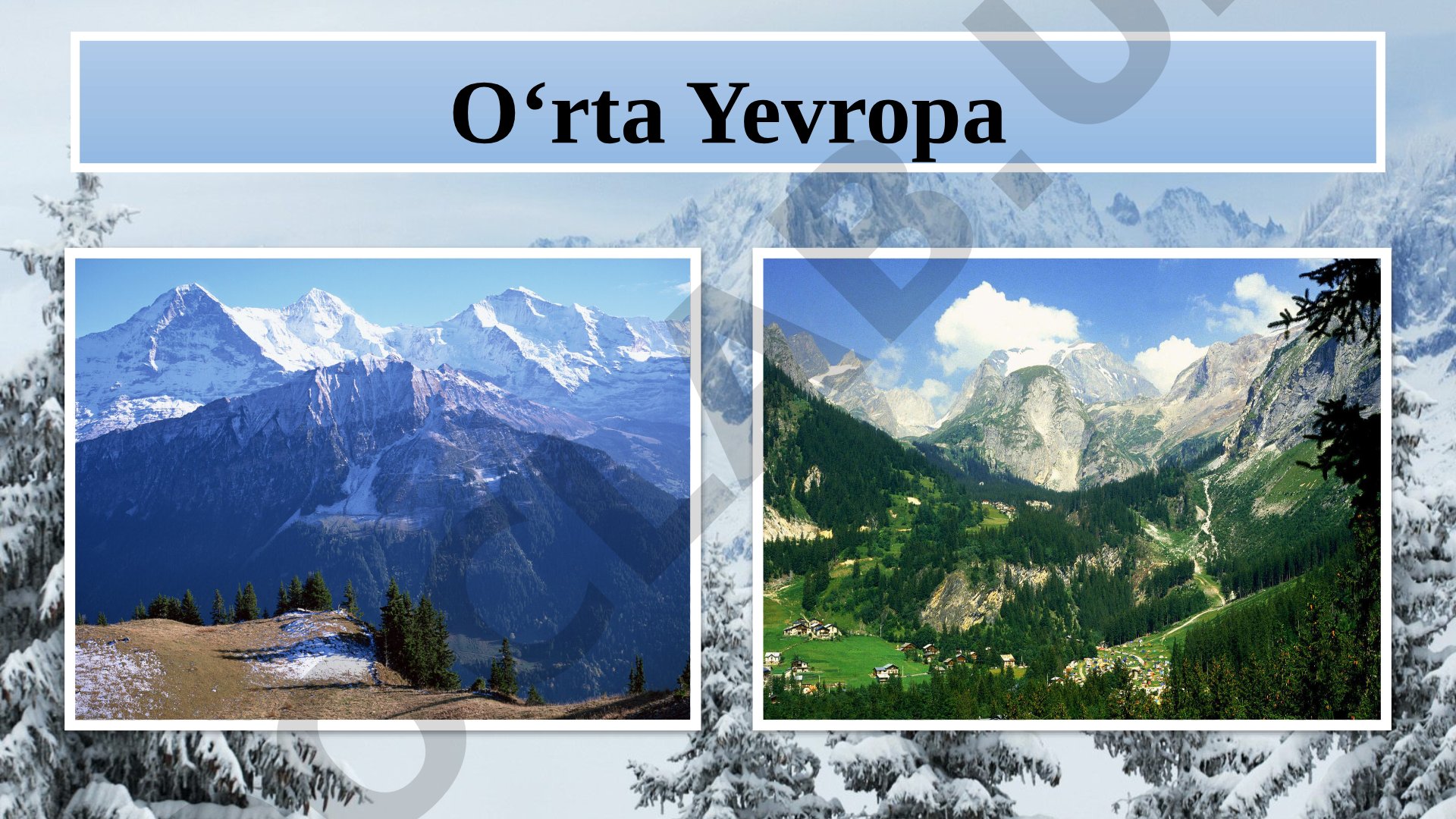 O'rta yevropa