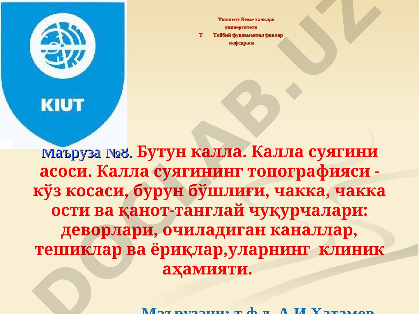 Бутун калла. Калла суягини асоси. Калла суягининг топографияси