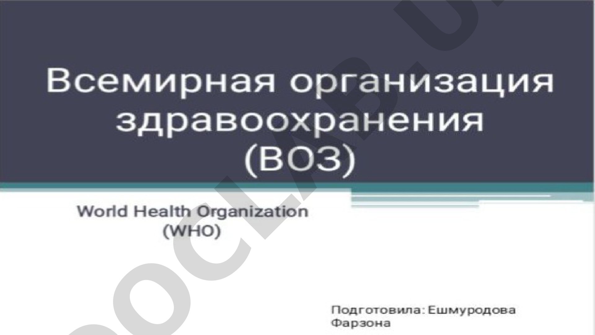 Спасибо за внимание