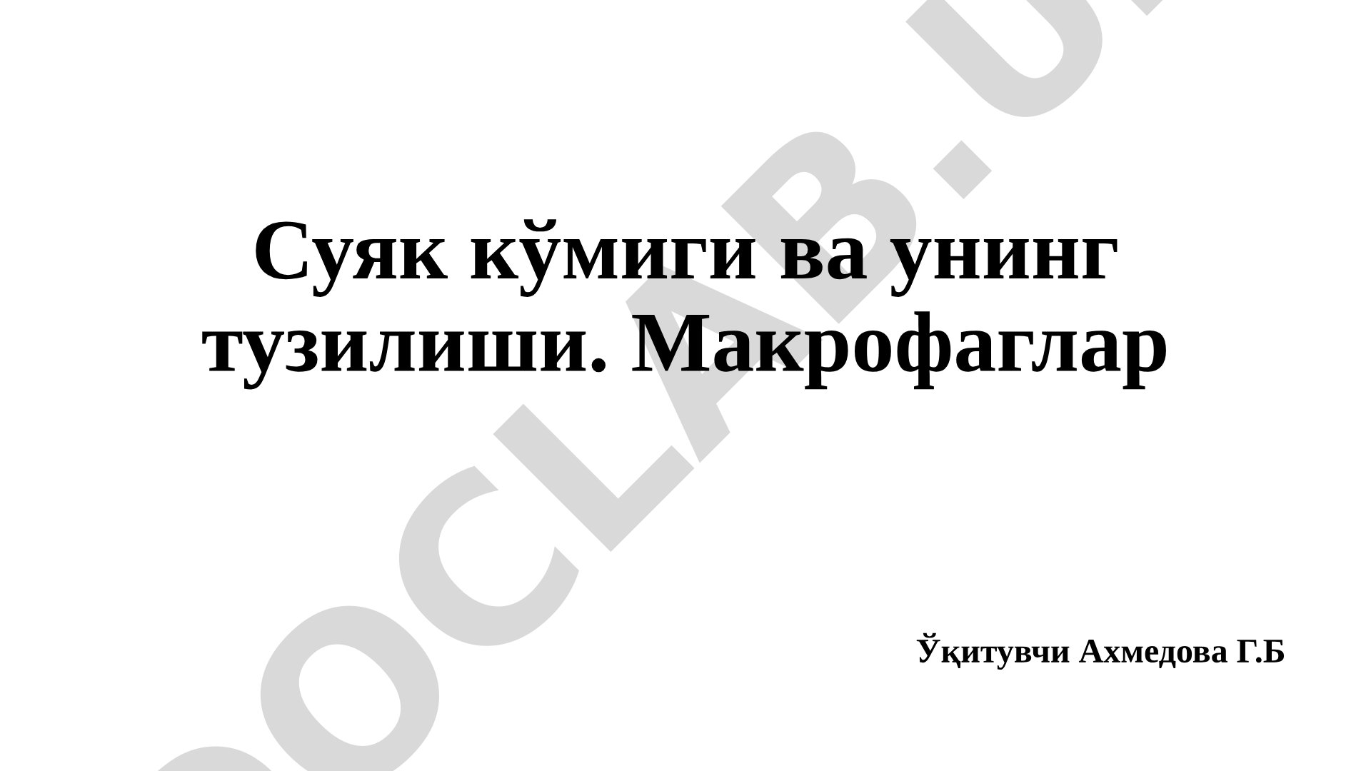 Макрофаги: виды и функции