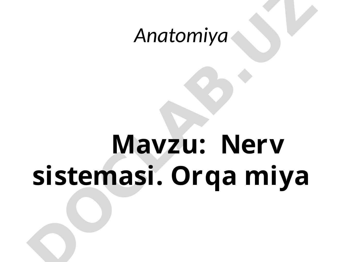 Nerv sistemasi. Orqa miya