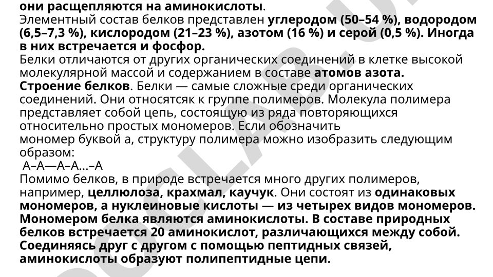 Белки и аминокислоты: состав, строение и значение