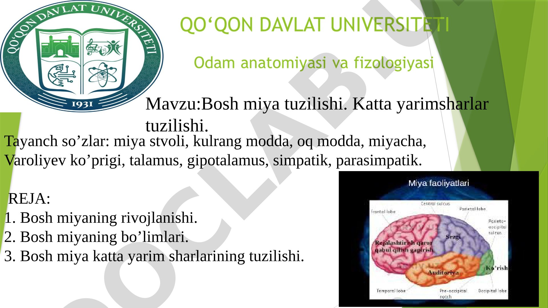 Bosh miya tuzilishi. Katta yarimsharlar tuzilishi
