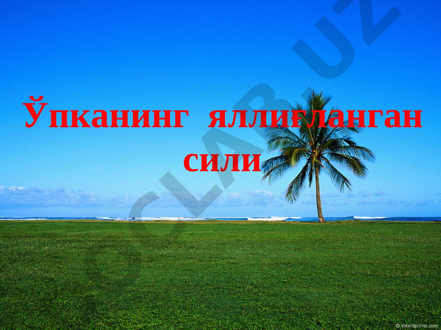 Ўпканинг яллиғланган сили Инфильтратив сил