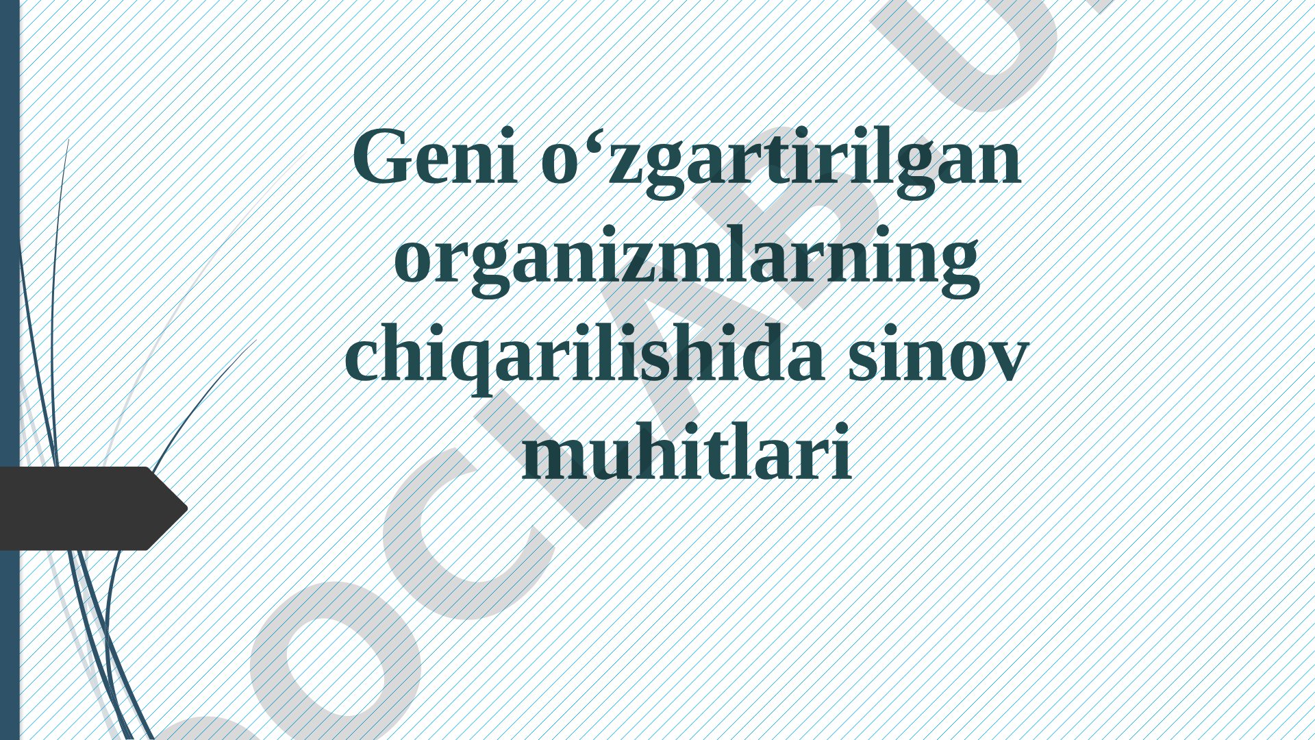 Geni o‘zgartirilgan organizmlarning chiqarilishida sinov muhitlari