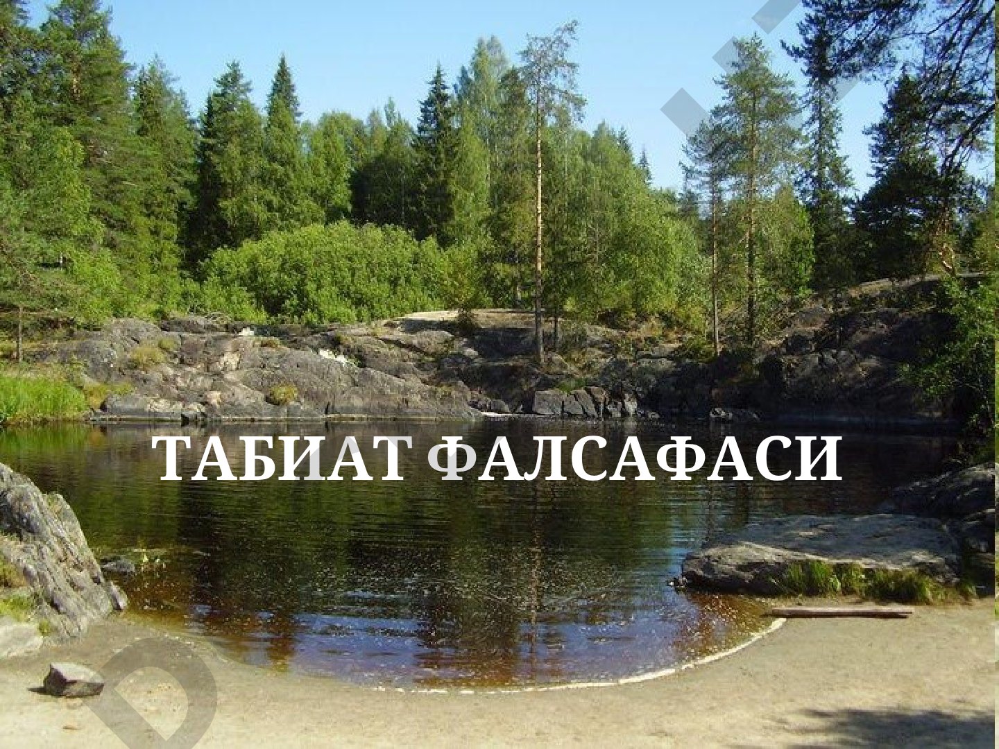 Табиат фалсафаси