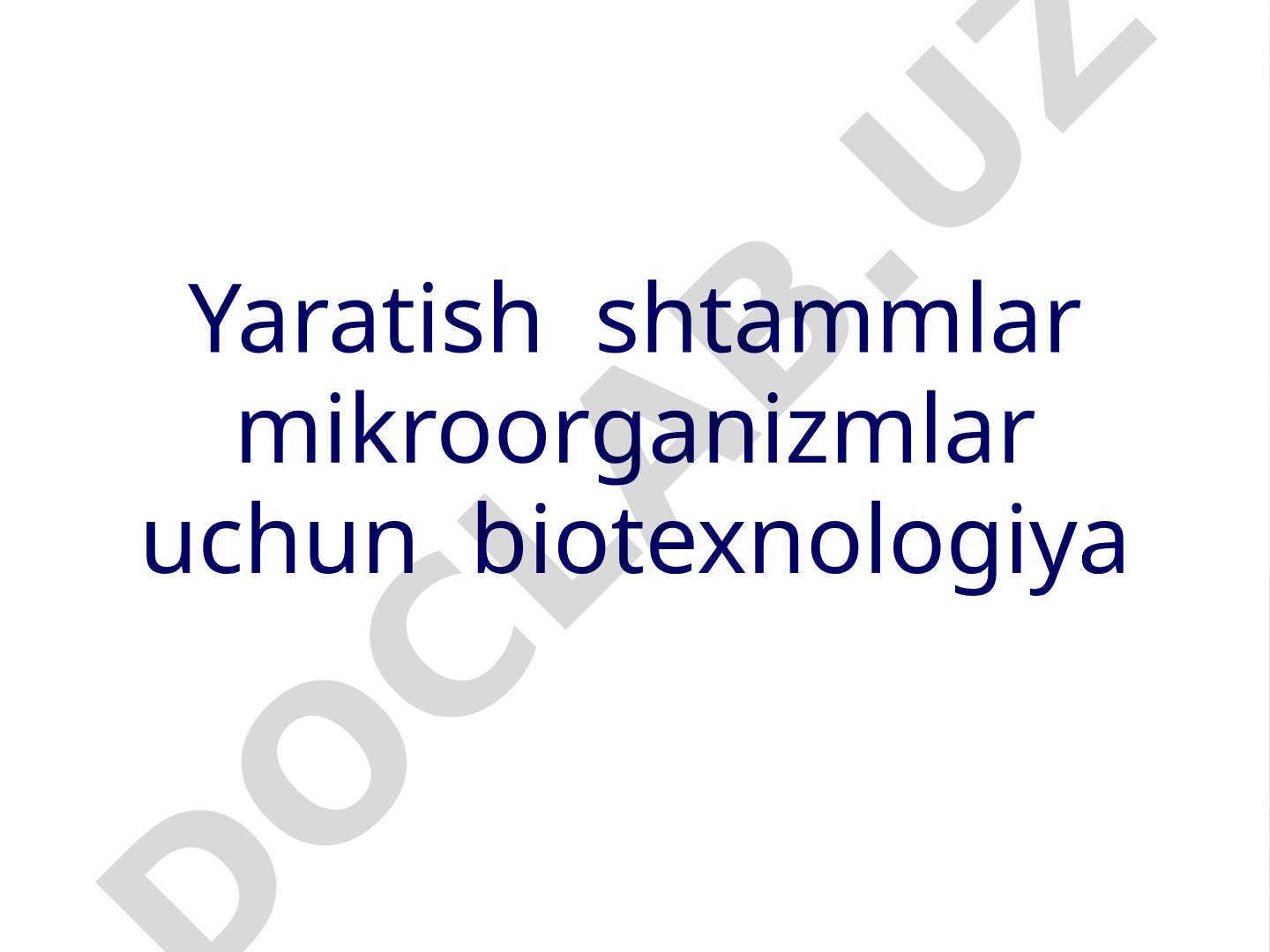 Yaratish shtammlar mikroorganizmlar uchun biotexnologiya Escherichia coli