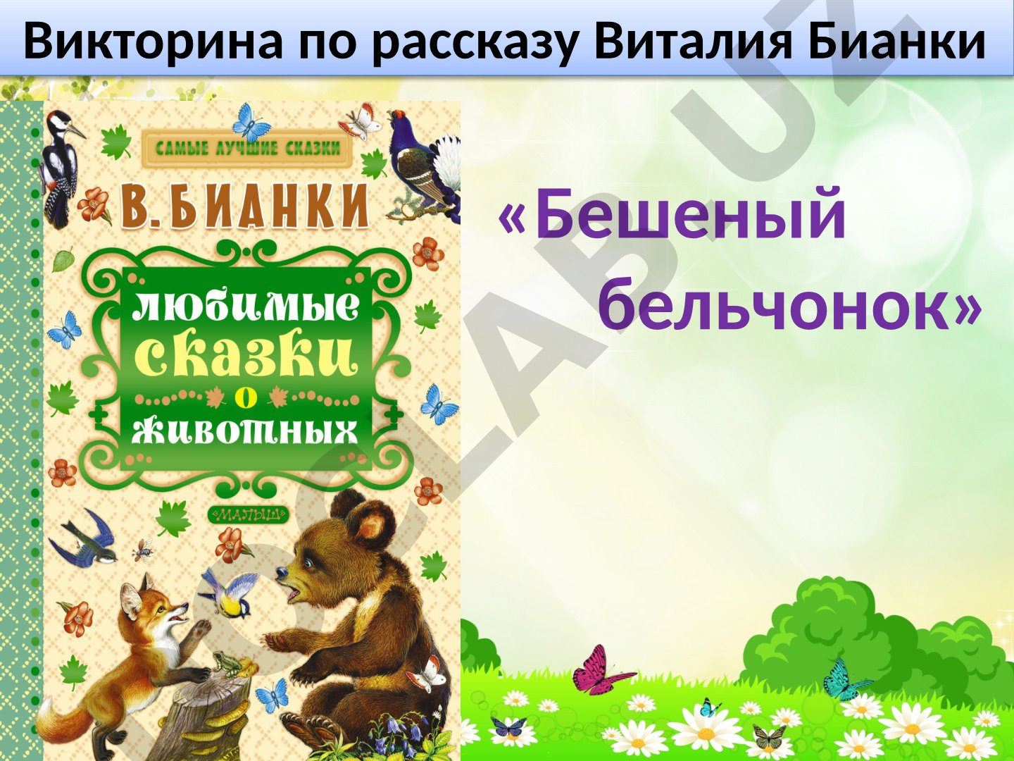 Викторина по рассказу Виталия Бианки «Бешеный бельчонок»