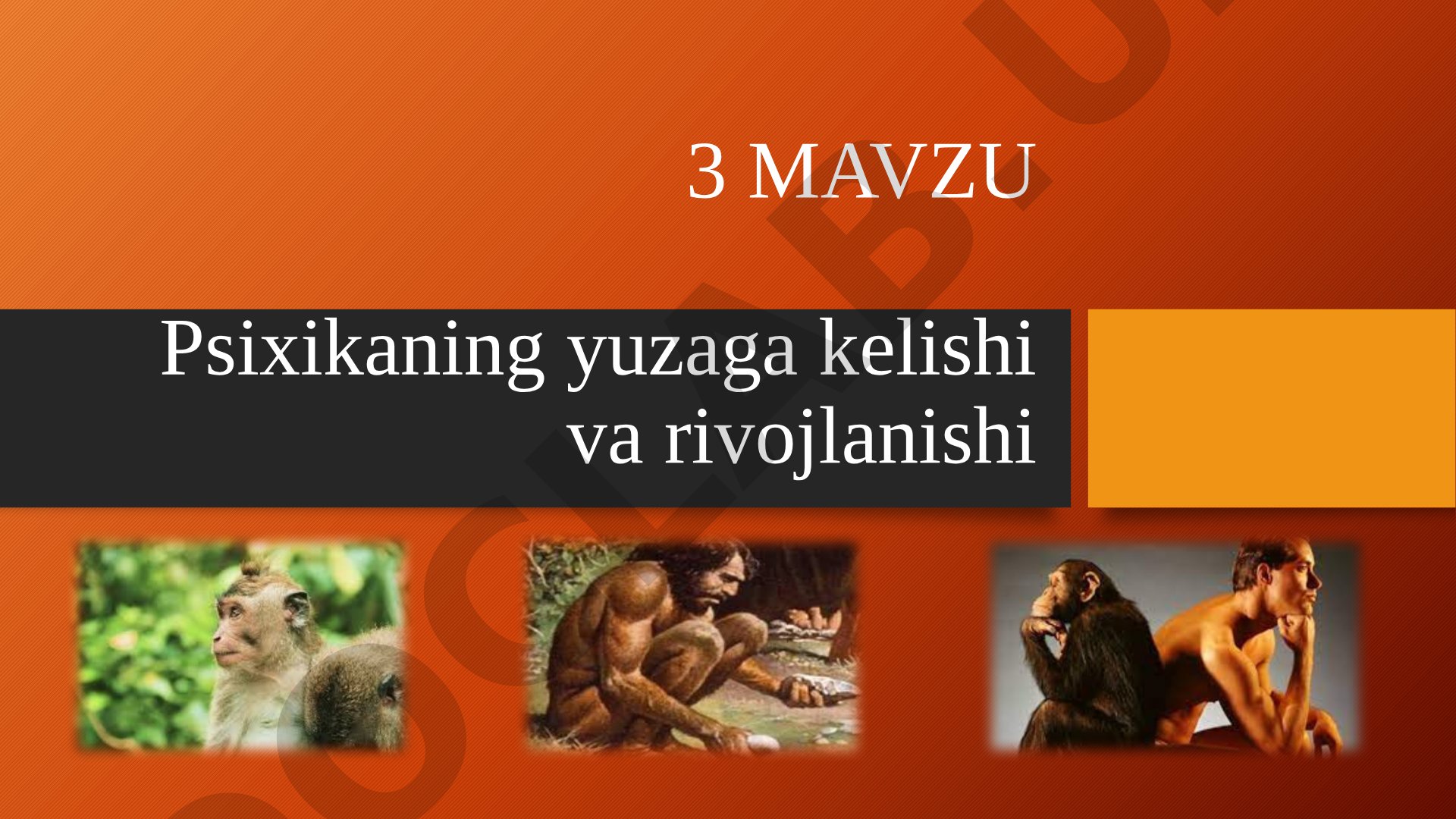 Psixikaning yuzaga kelishi va rivojlanishi