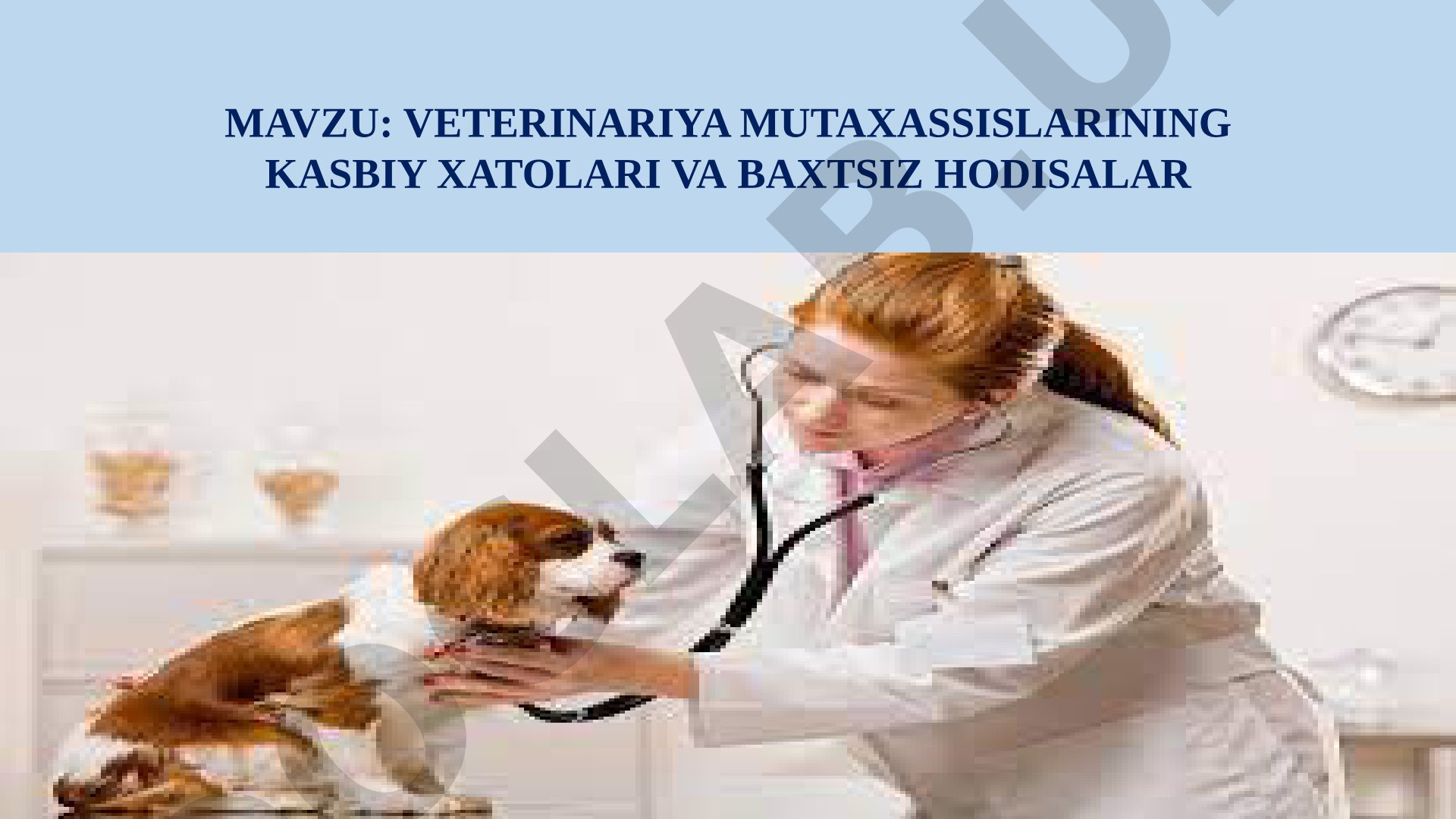Veterinariya mutaxassislarining kasbiy xatolari va baxtsiz hodisalar