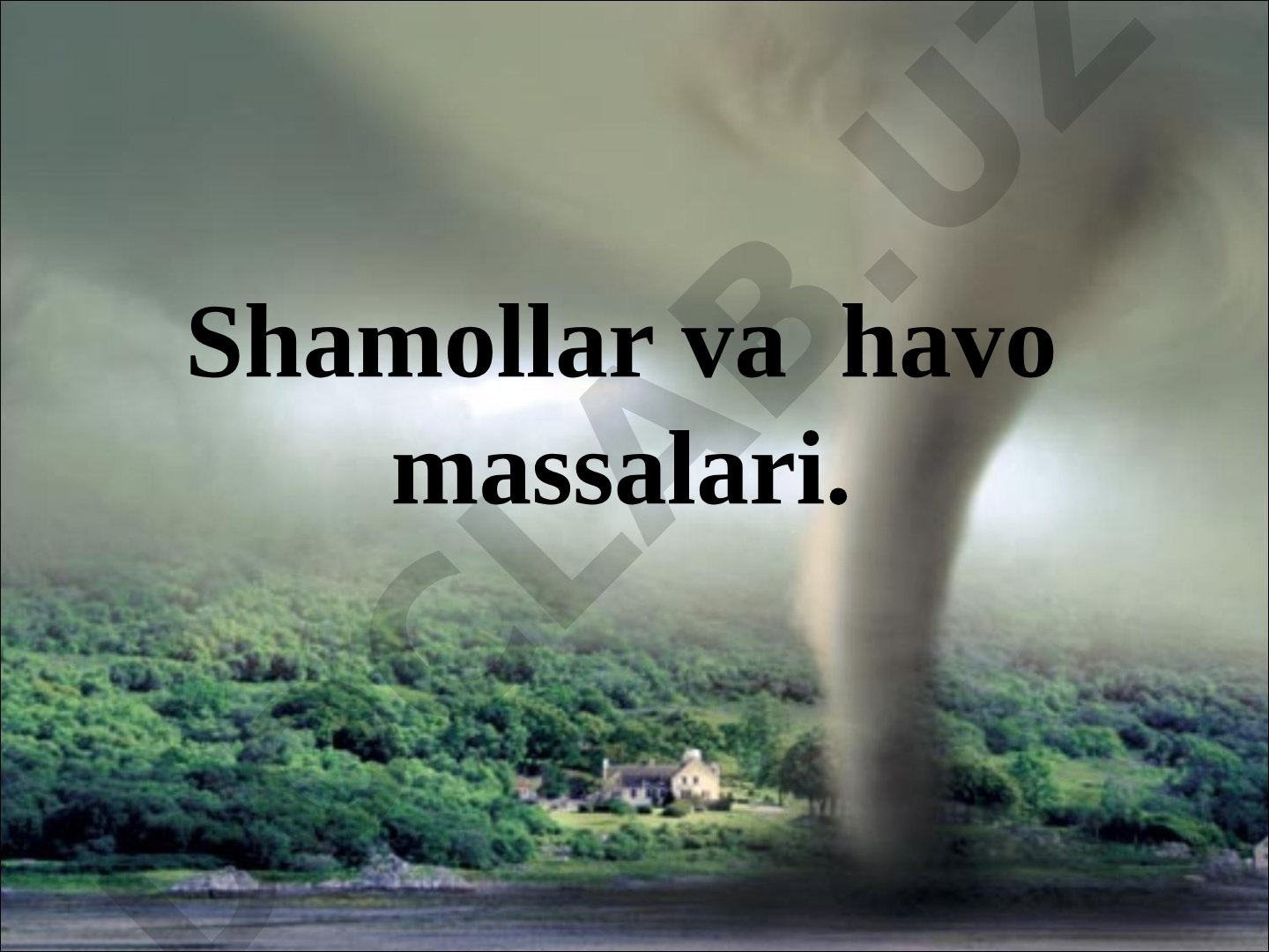 Shamollar va havo massalari