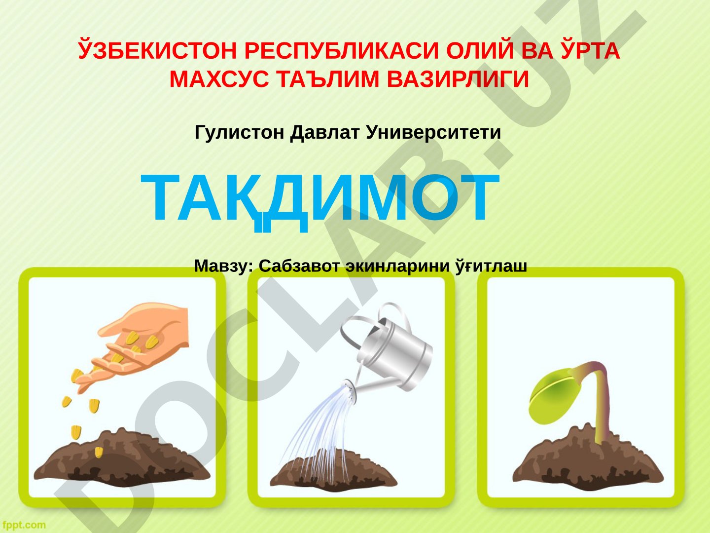 Сабзавот экинларини ўғитлаш