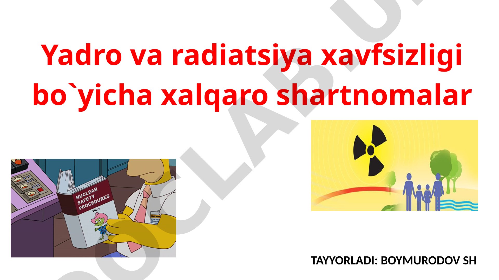 Yadro va radiatsiya xavfsizligi bo'yicha xalqaro shartnomalar
