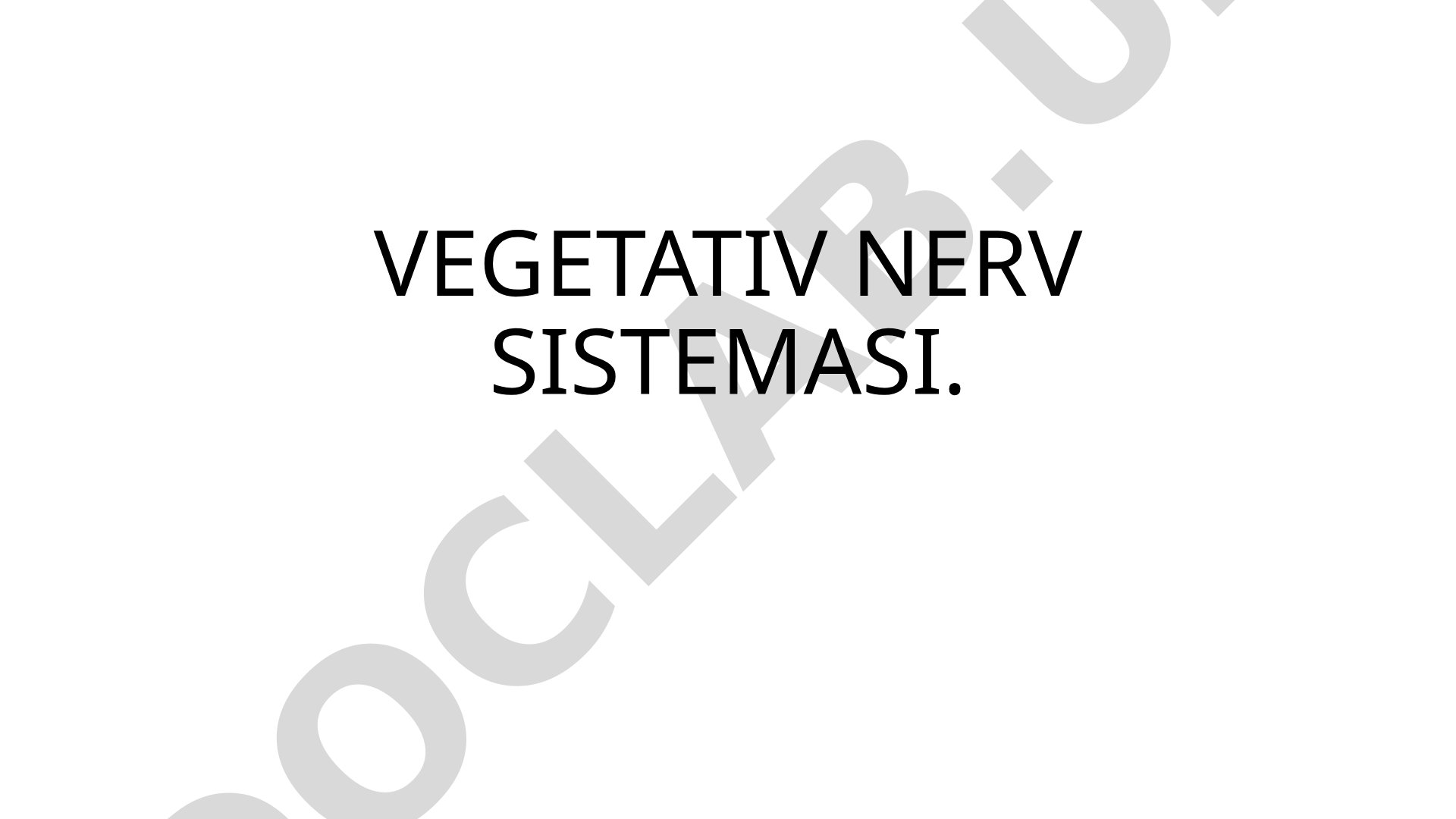 Vegetativ nerv sistemasi