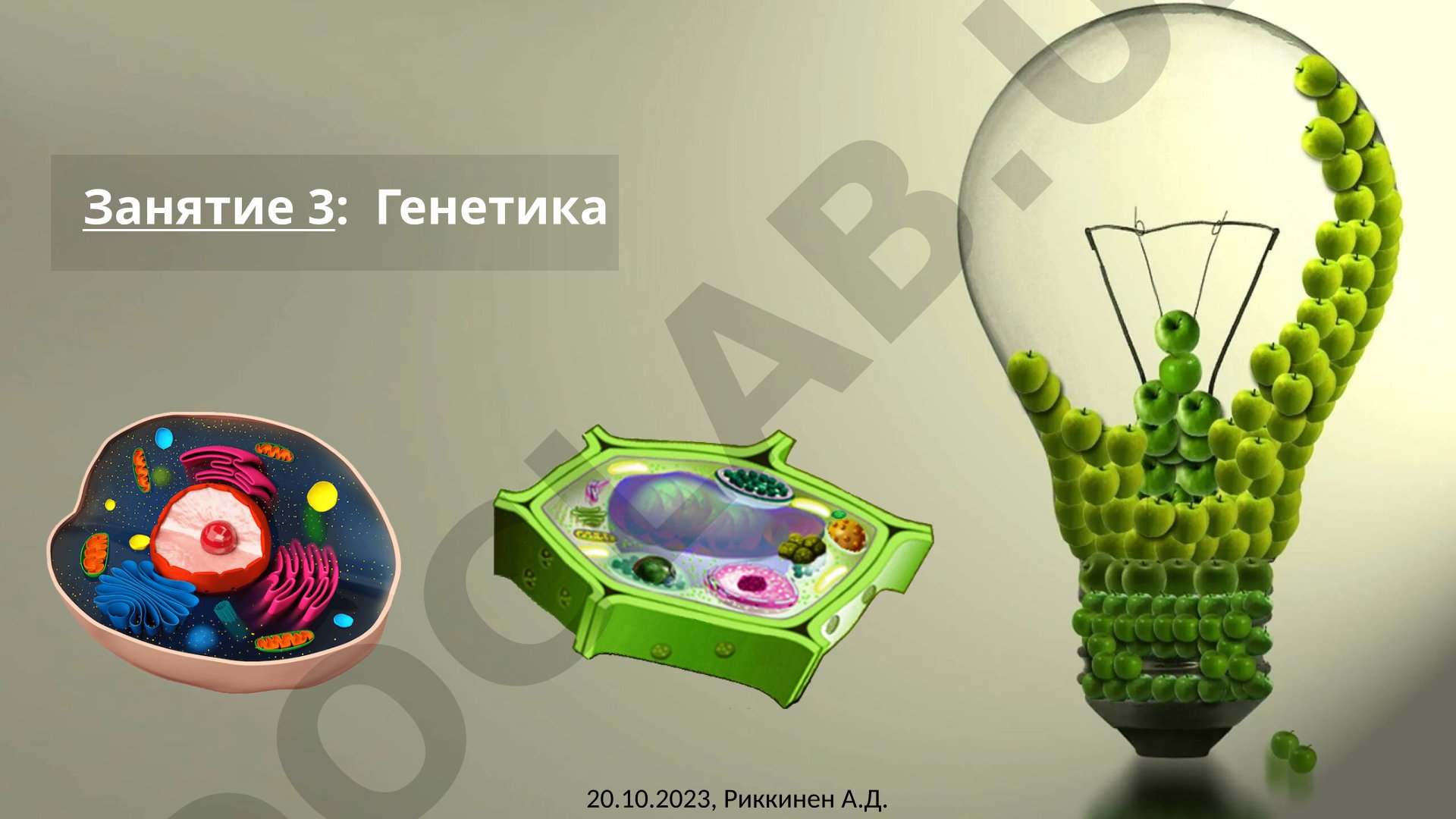 Генетика: структура ДНК и хроматина
