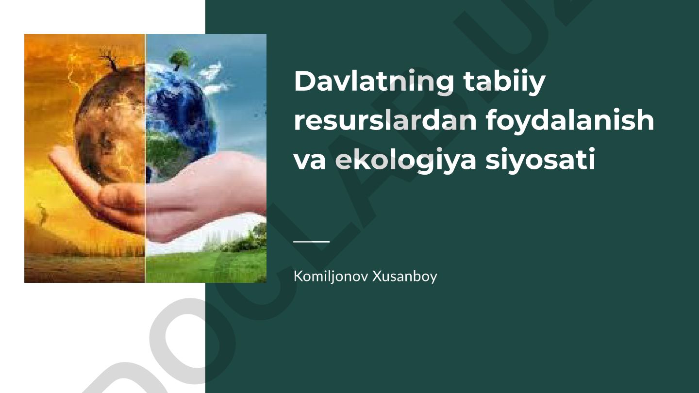 Davlatning tabiiy resurslardan foydalanish va ekologiya siyosati