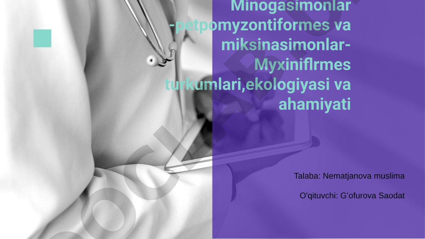 Minogasimonlar -petpomyzontiformes va miksinasimonlar-Myxiniflrmes turkumlari,ekologiyasi va ahamiyati