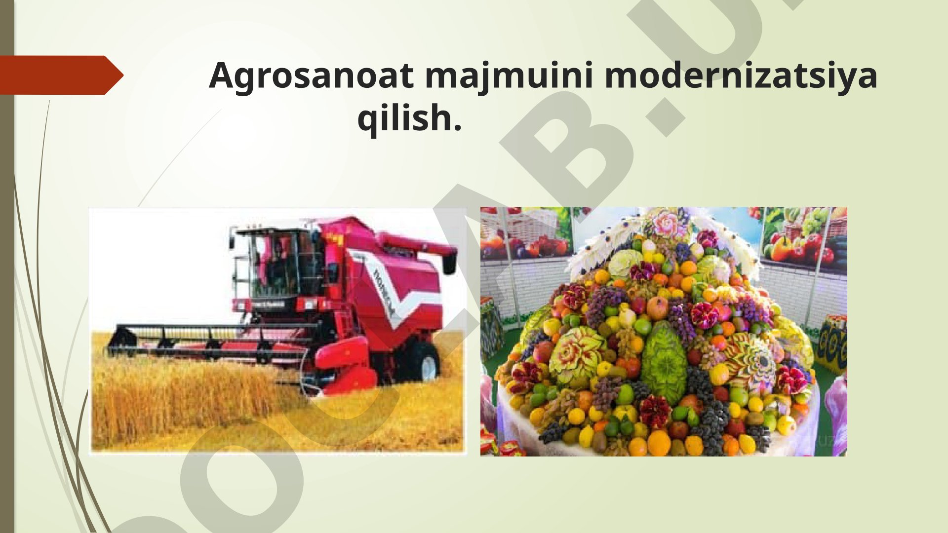 Agrosanoat majmuini modernizatsiya qilish