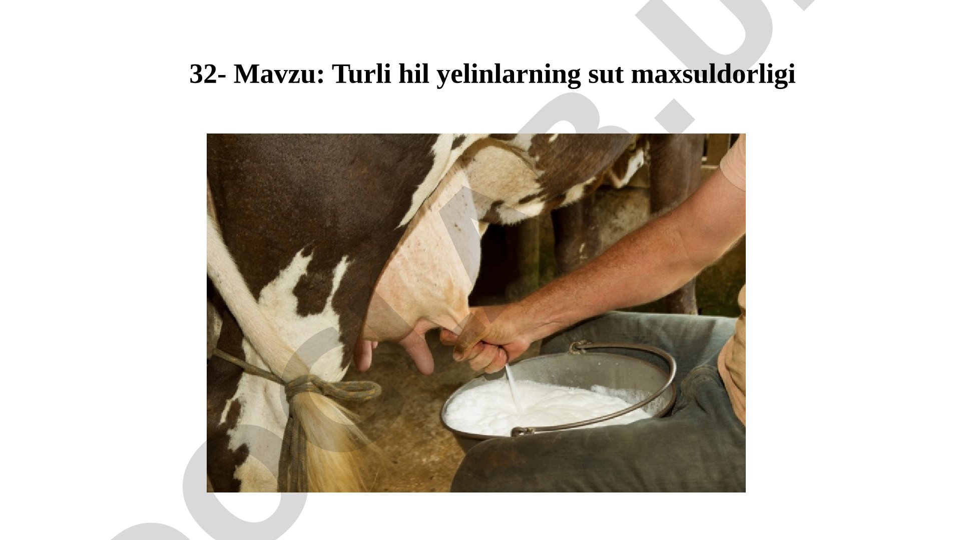Turli hil yelinlarning sut maxsuldorligi