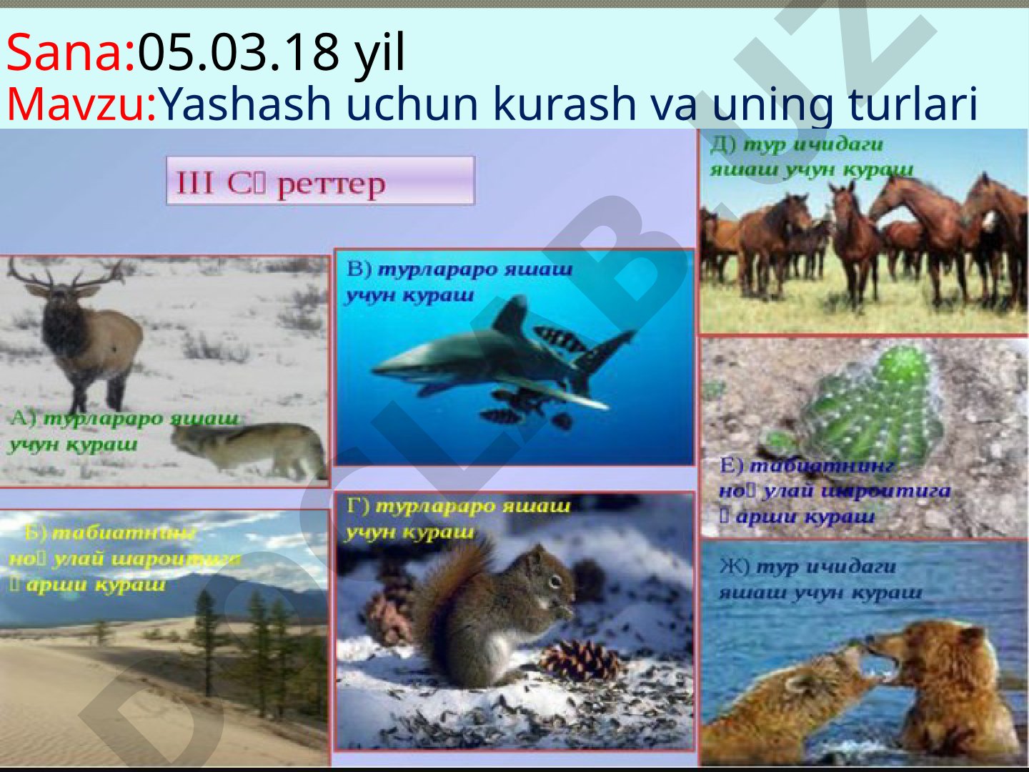 Yashash uchun kurash va uning turlari