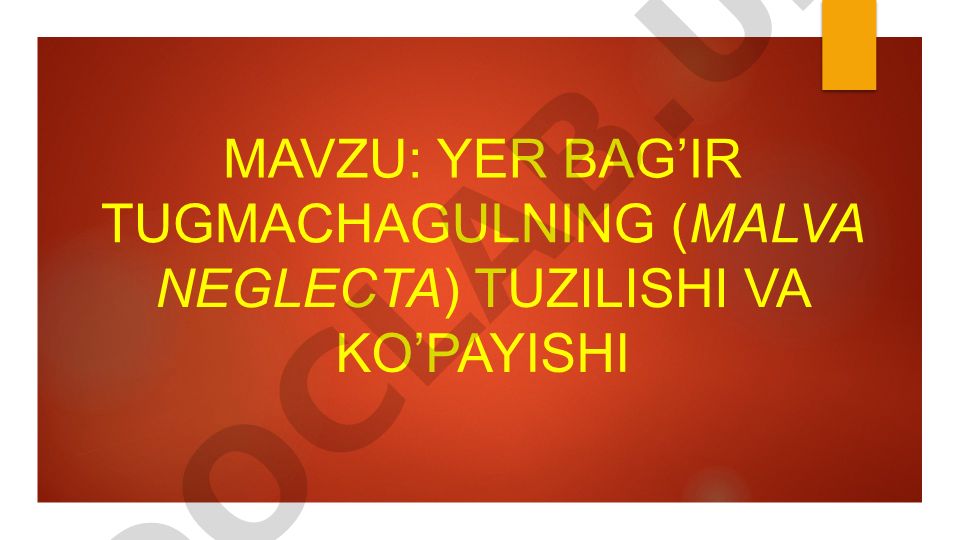 Yer bag'ir tugmachagulning (Malva neglecta) tuzilishi va ko'payishi