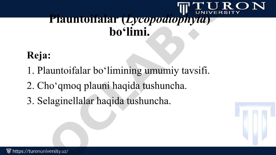 Plauntoifalar (Lycopodiophyta) bo'limining umumiy tavsifi va turlari