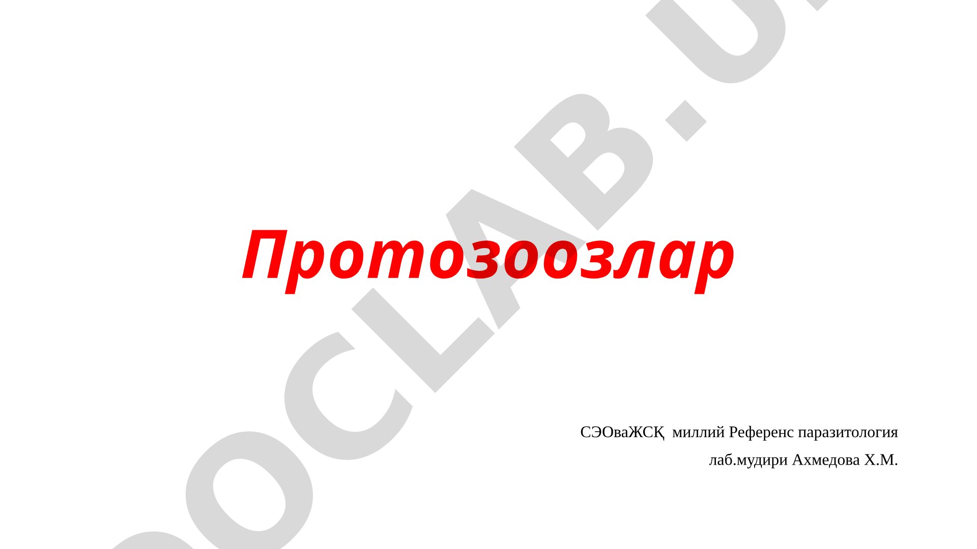 Протозоозлар: содда жониворлар ва уларнинг классификацияси