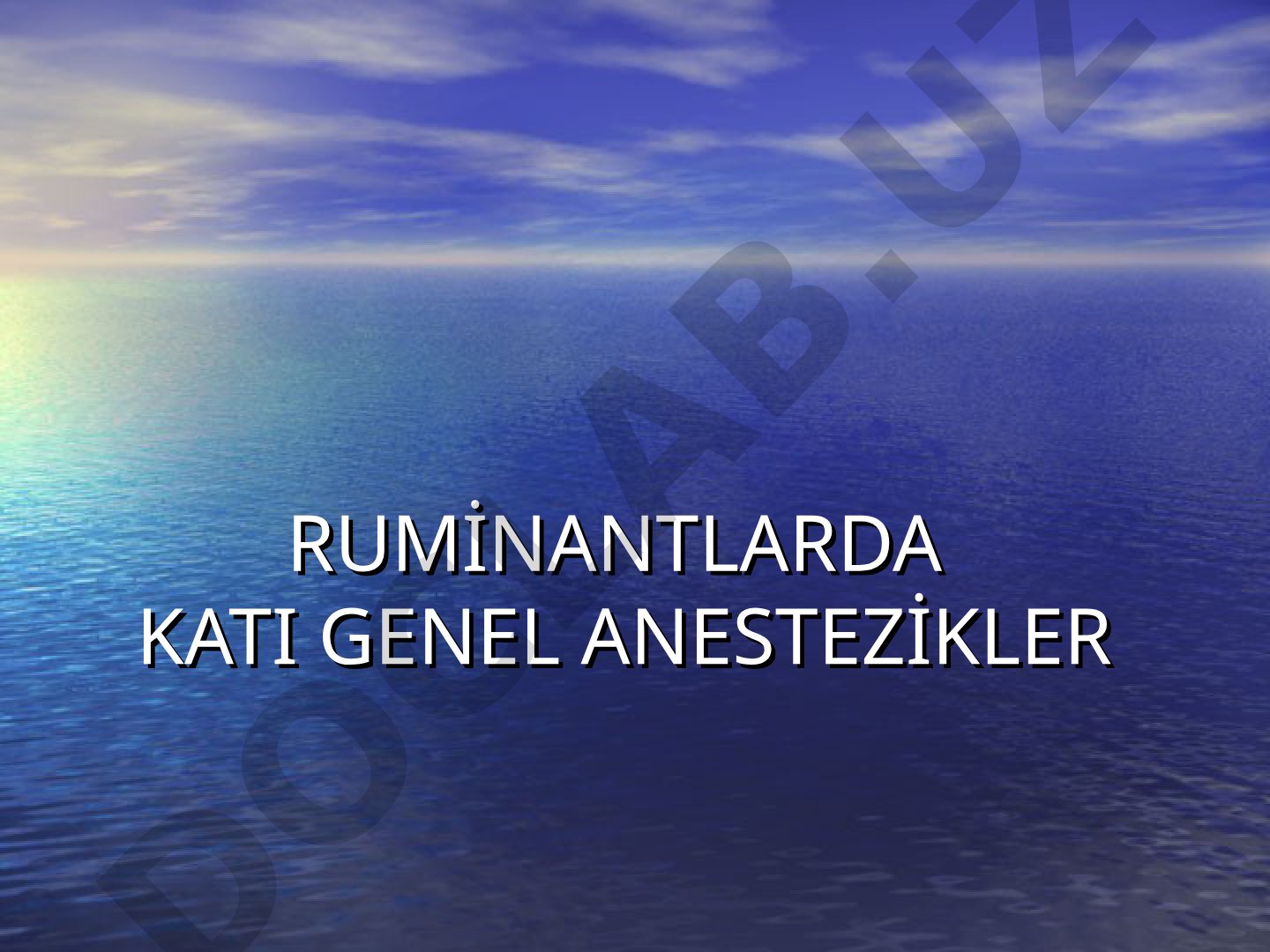 Ruminantlarda katı genel anestezikler