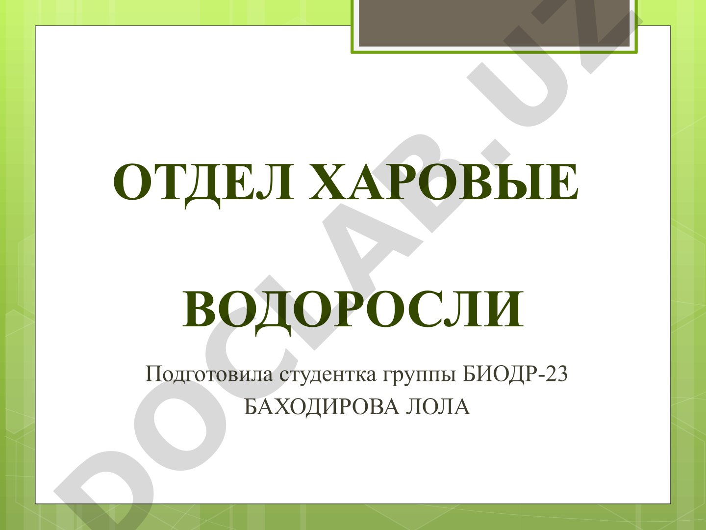 Харовые водоросли: систематика, строение таллома, экология и размножение