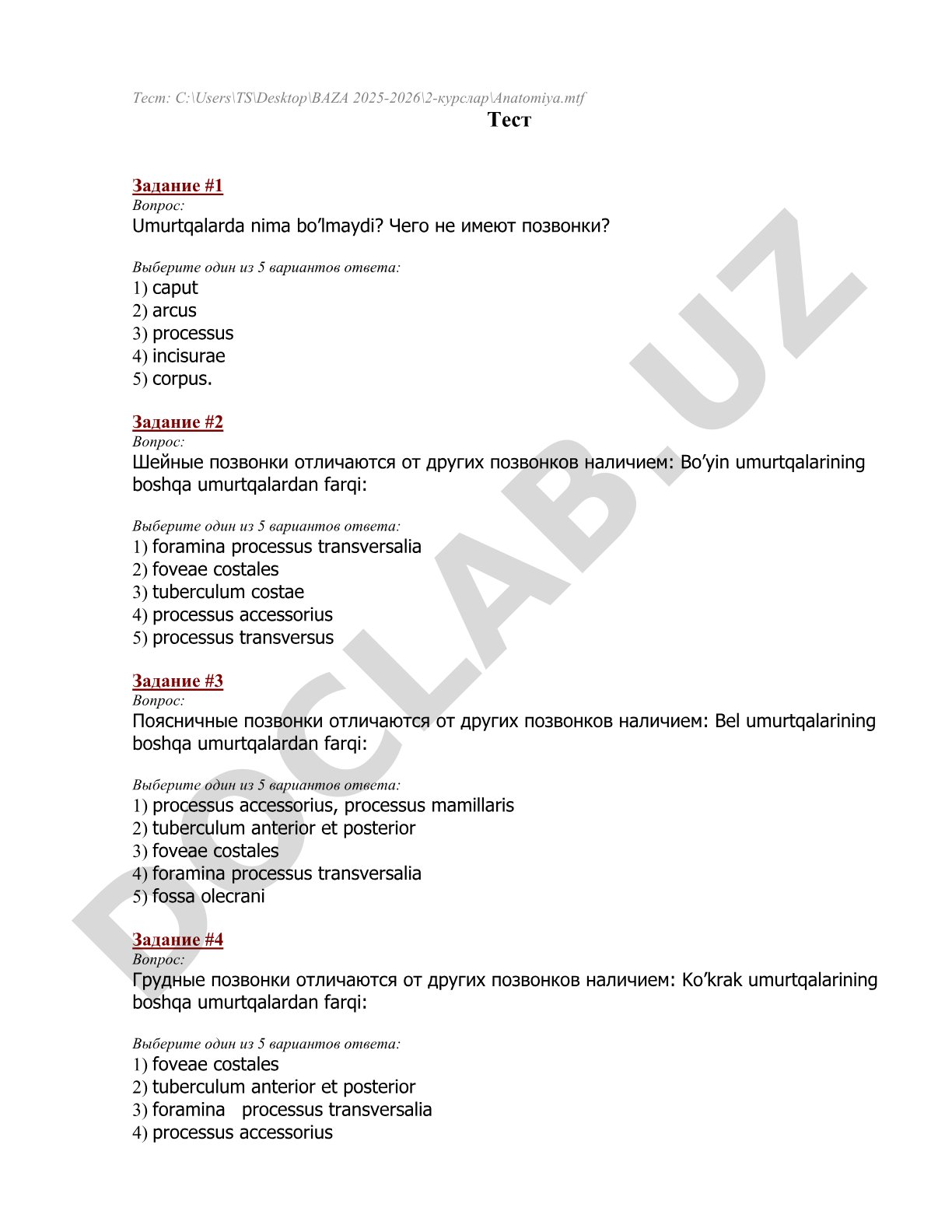 Anatomiya testi: umurtqalar tuzilishi