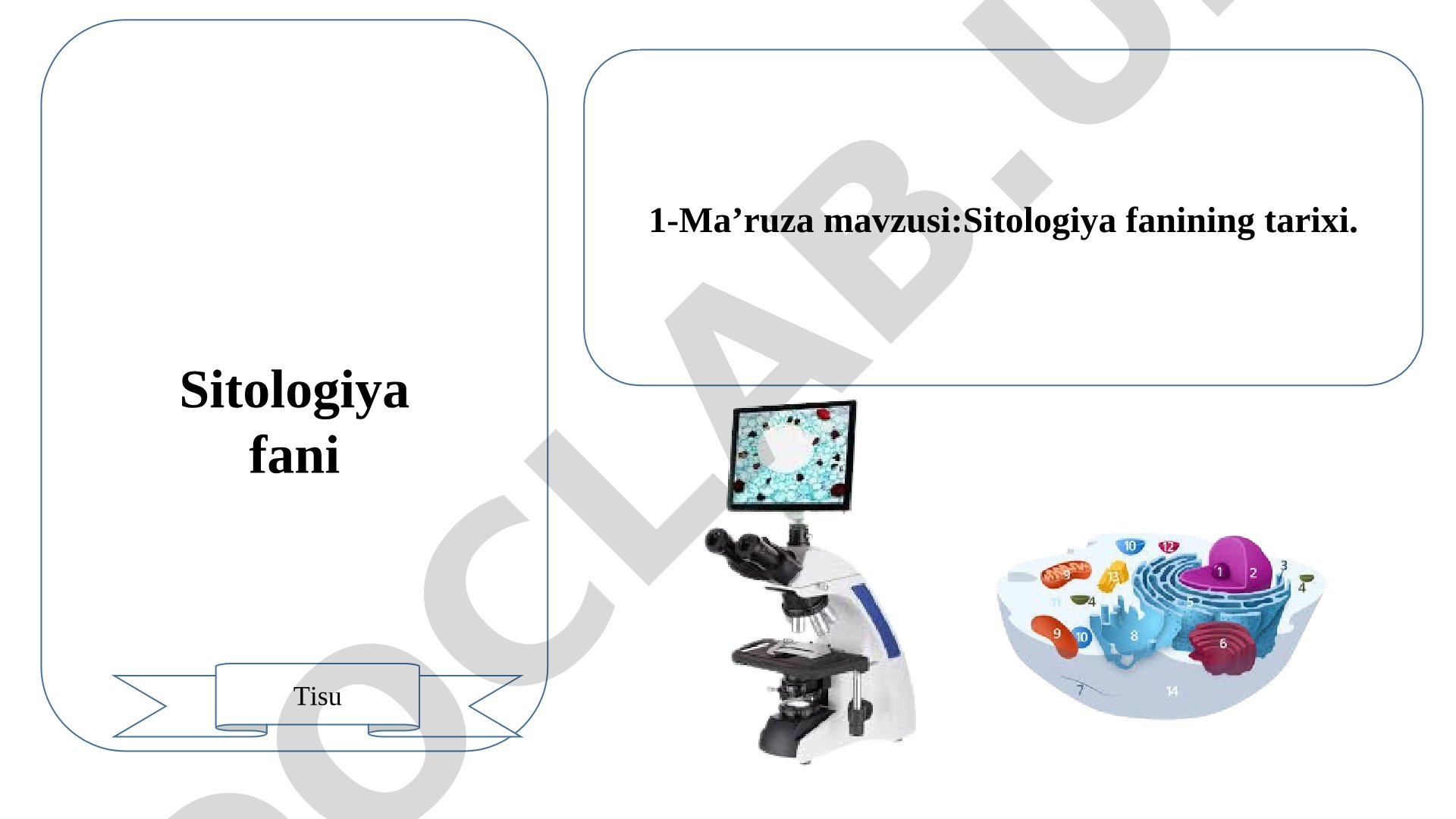 Sitologiya fanining rivojlanish tarixi