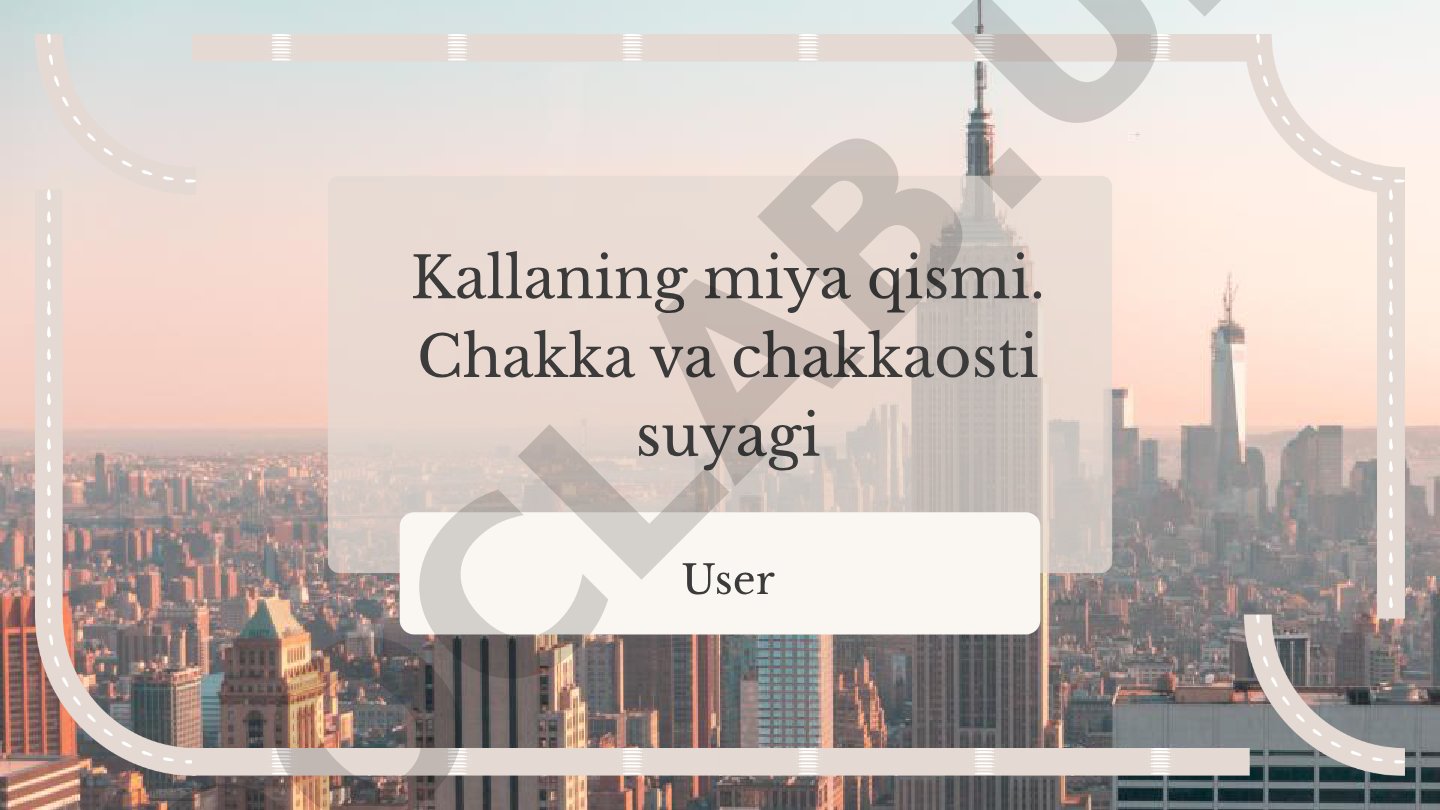 Kallaning miya qismi. Chakka va chakkaosti suyagi