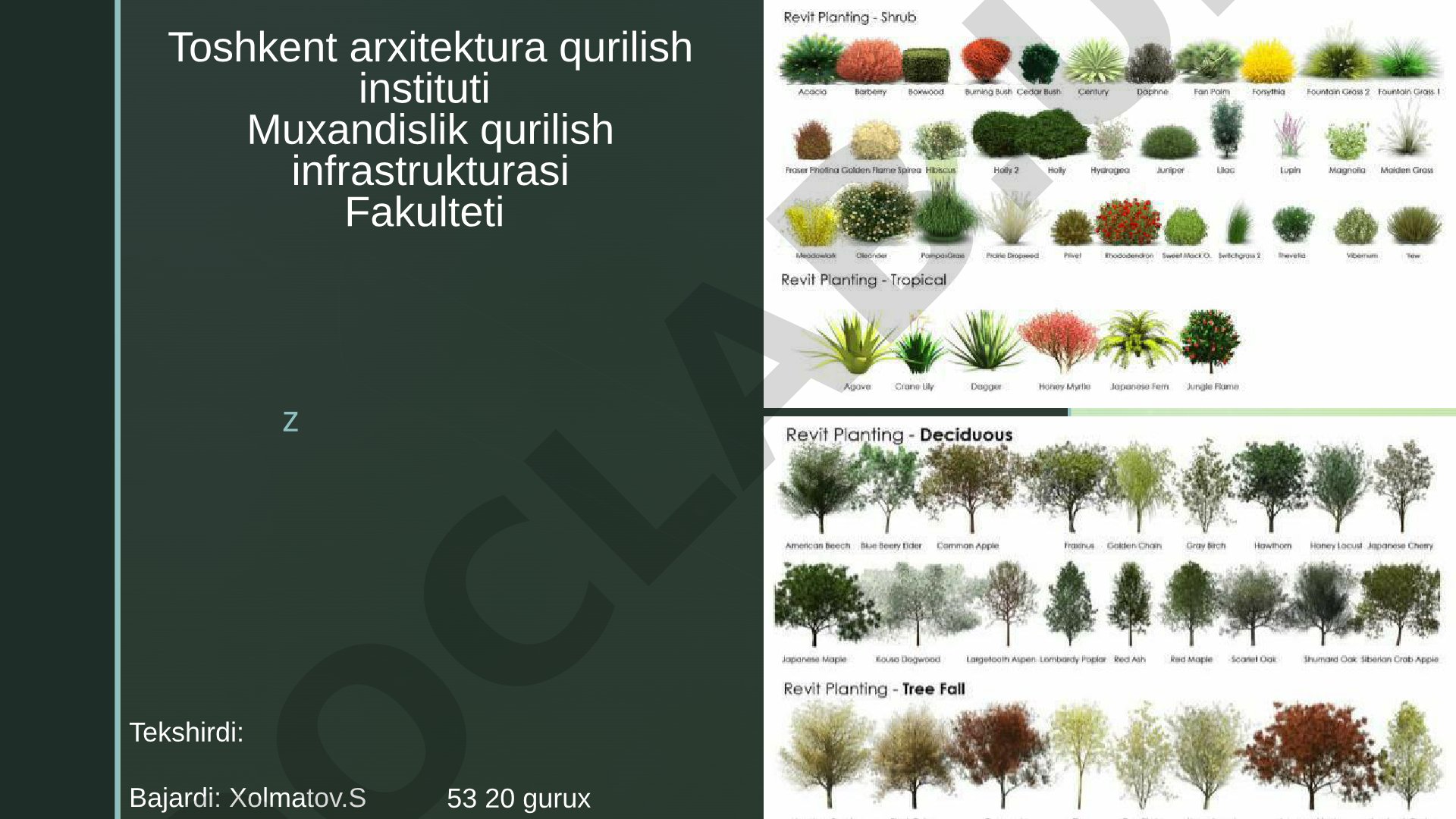 Daraxtlarni shaxar arxitekturasidagi oʻrni