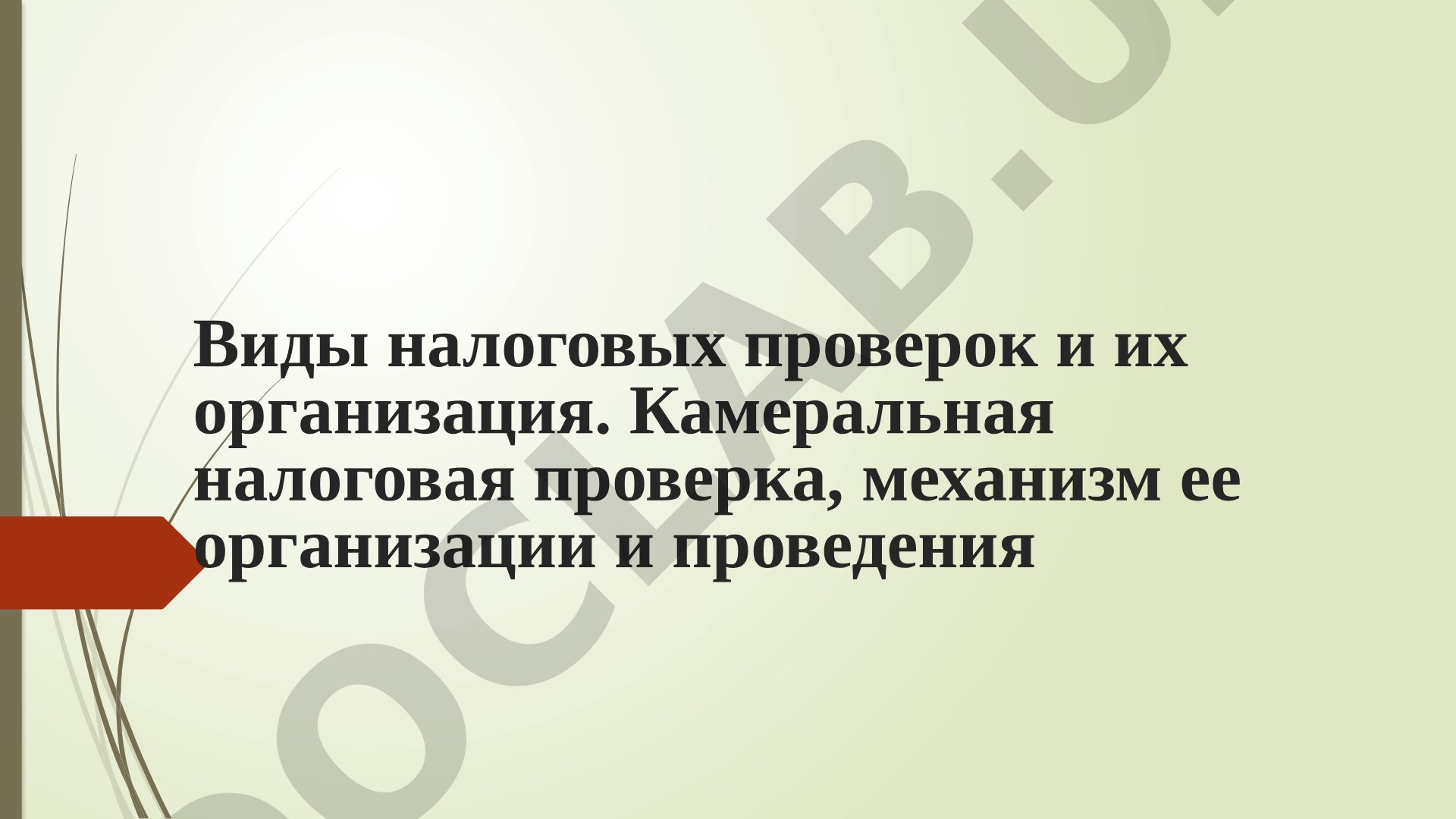 Виды налоговых проверок и их организация
