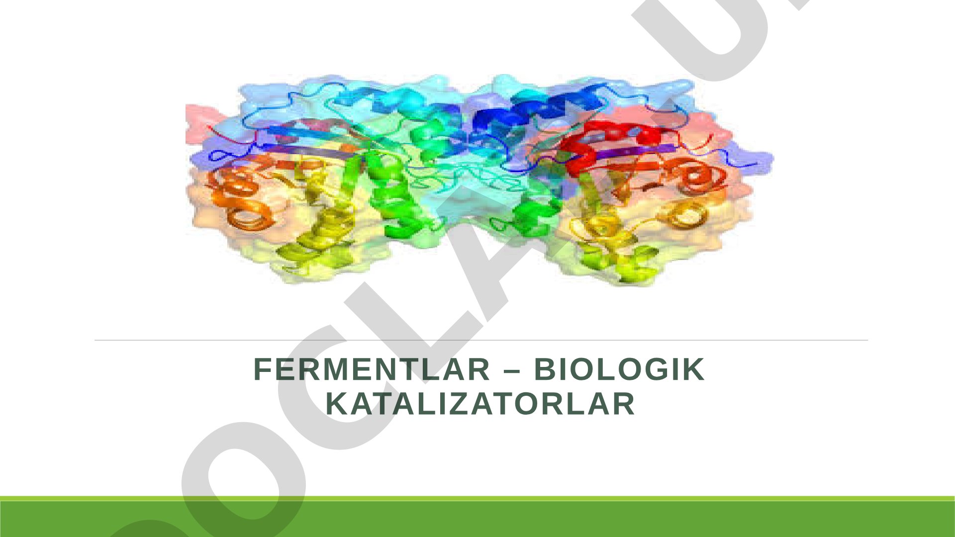 Fermentlar – biologik katalizatorlar: tuzilishi, xususiyati va ta’sir mexanizmi