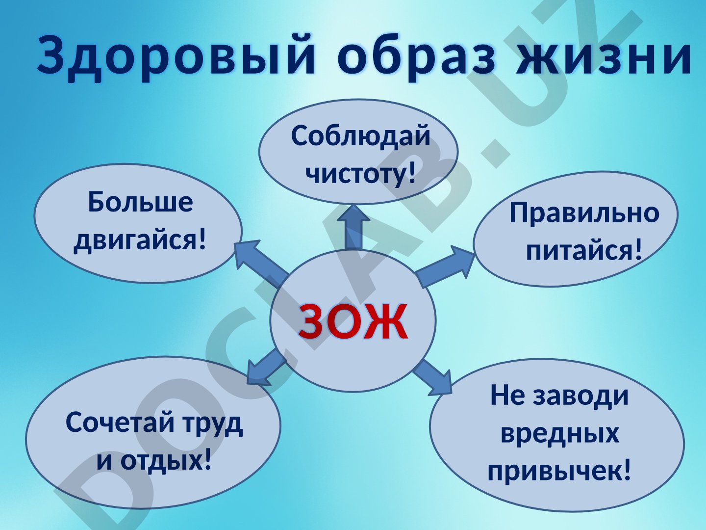 Здоровый образ жизни