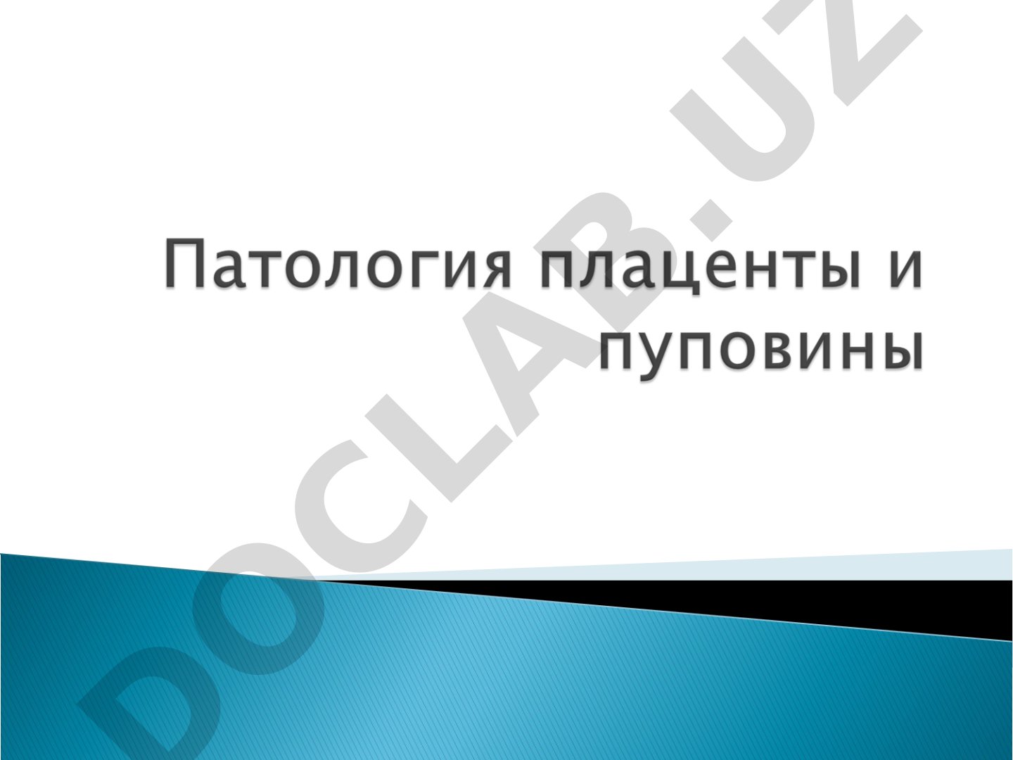 Плацента: строение и функции