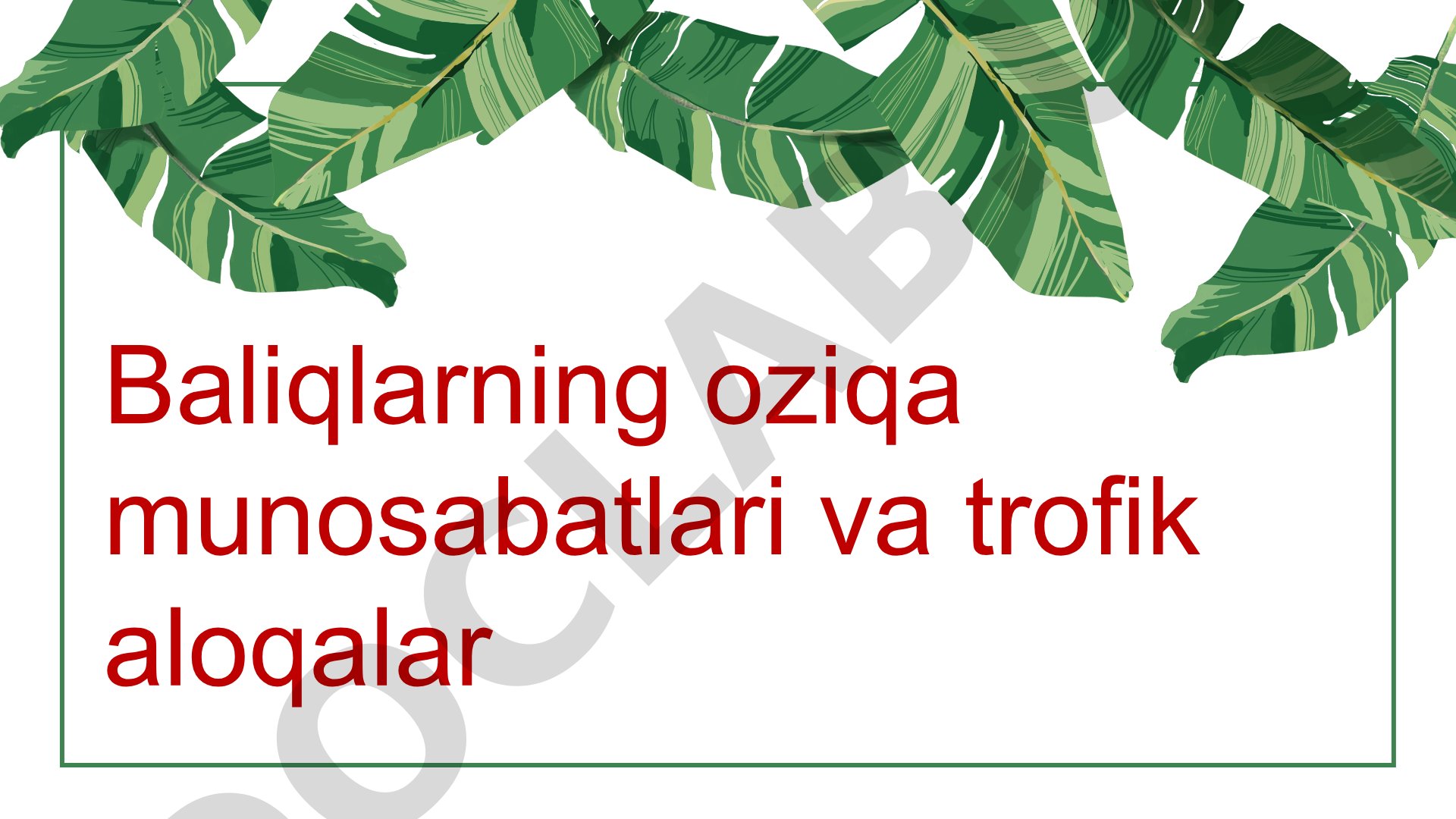 Baliqlarning oziqa munosabatlari va trofik guruhlari