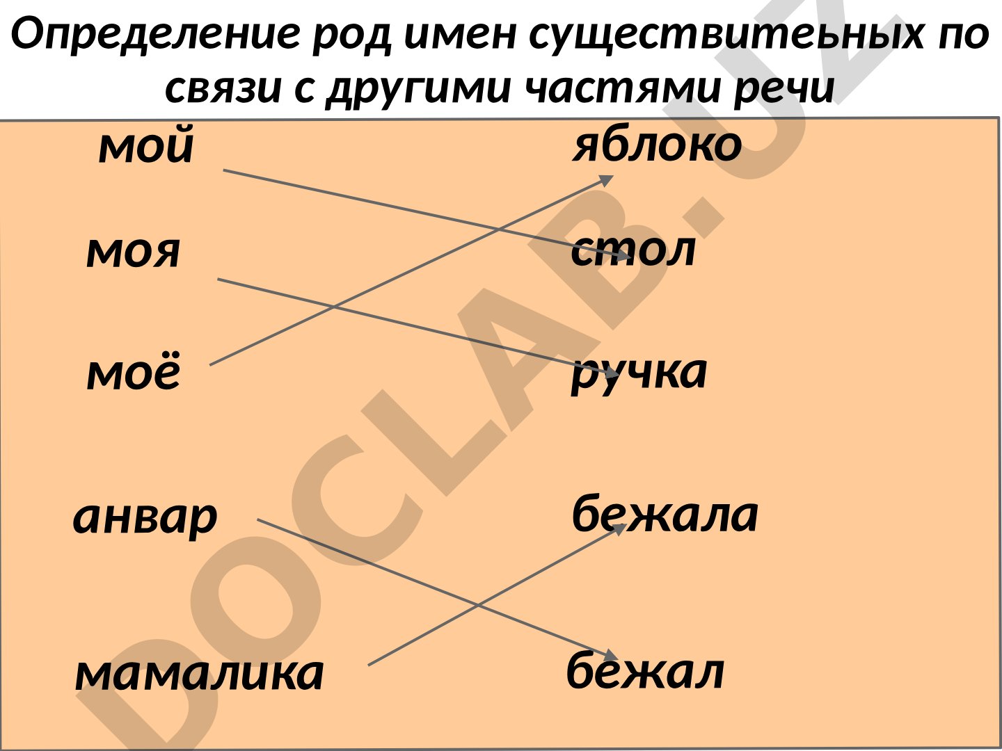 Определение рода существительных по связи с частями речи