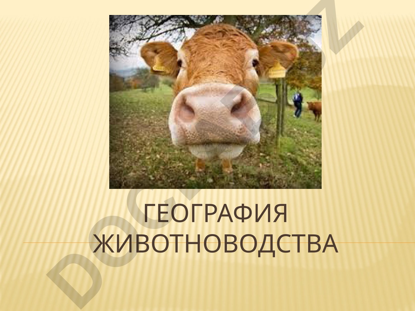 География животноводства и кормовая база