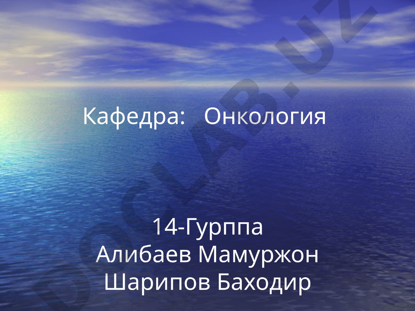 Меъда саратони маърузаси