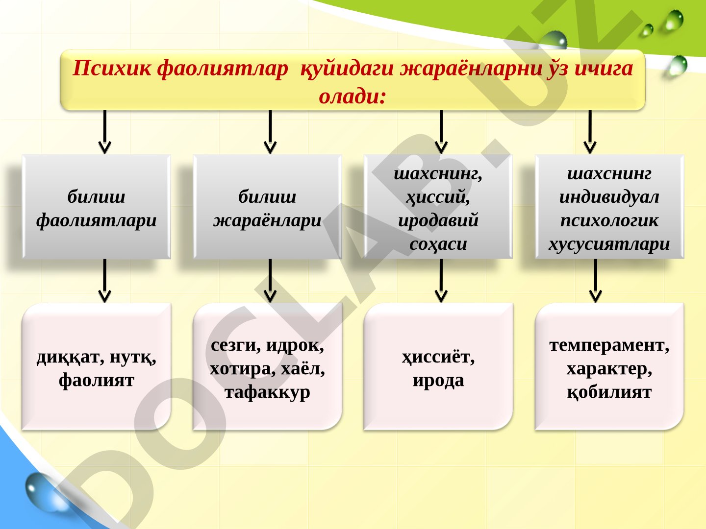 Xotira haqida tushuncha. Xotiraning nerv-fiziologik asosi