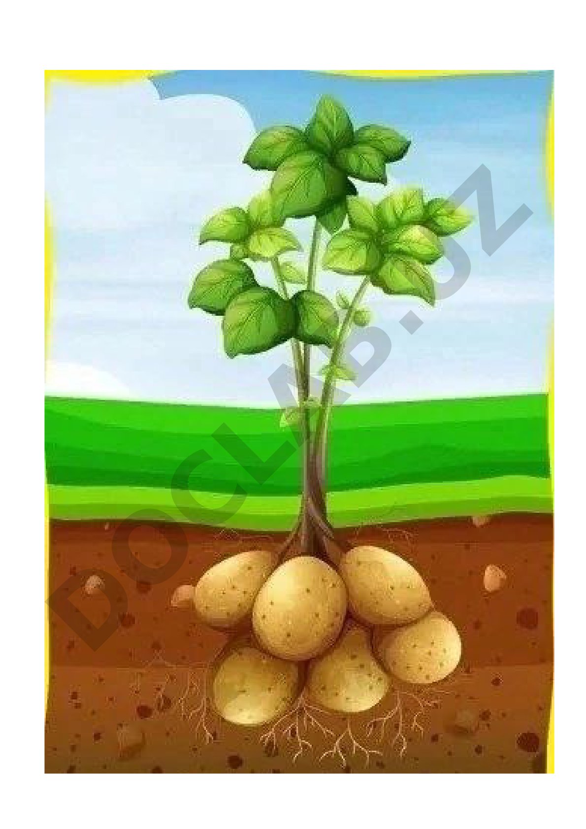 Rasmlar bilan material