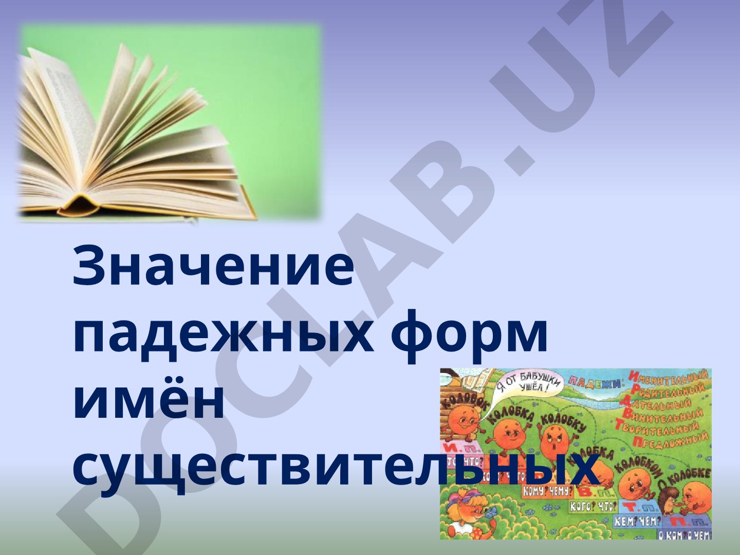 Значение падежных форм имён существительных