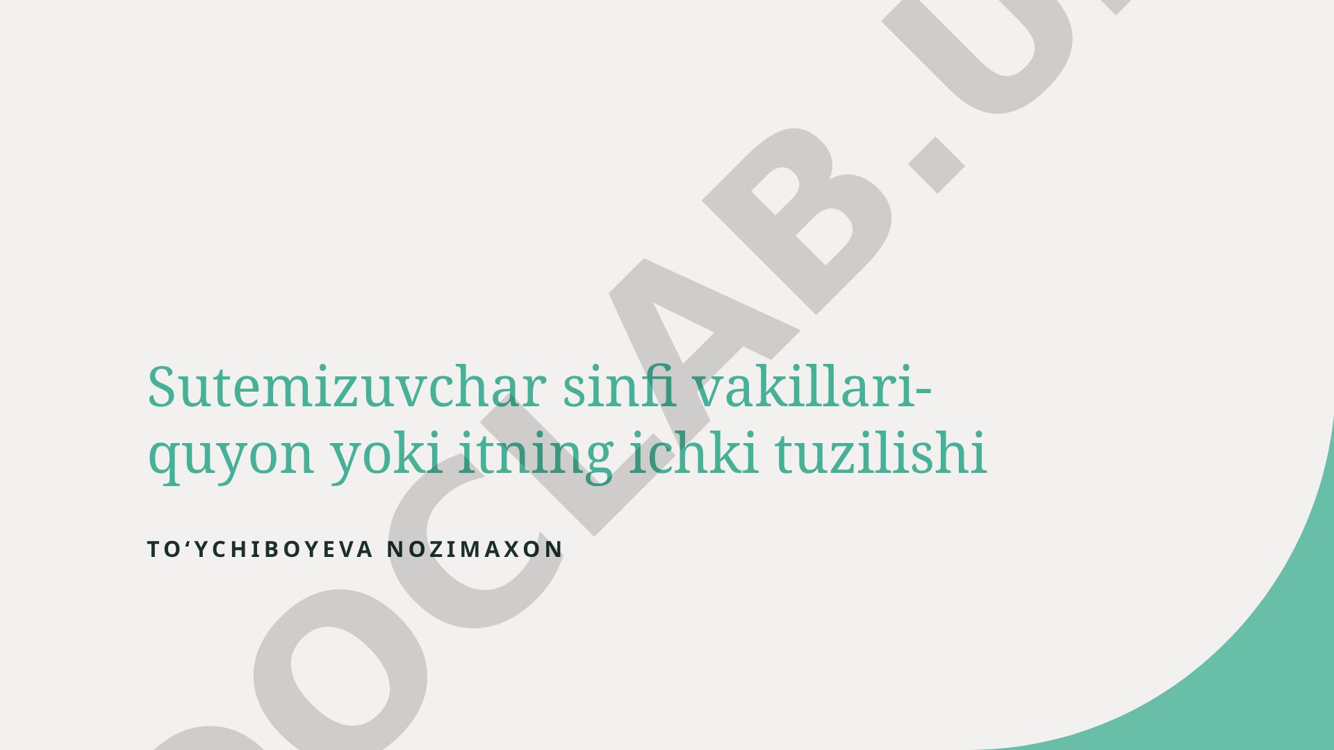 Sutemizuvchilar sinfi vakillari - quyon yoki itning ichki tuzilishi